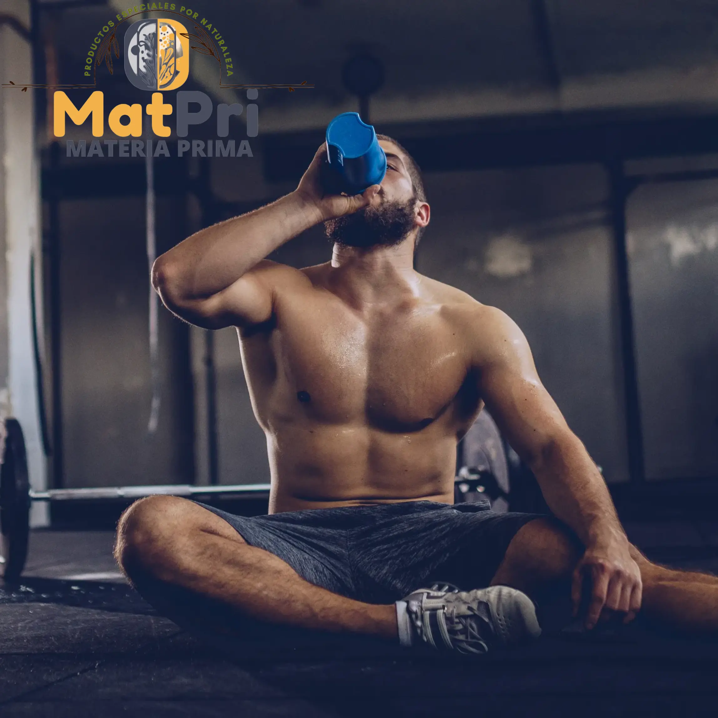 Creatina Monohidratada - Imagen 2